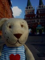 Лот: 4442380. Фото: 7. "Ищу добрые руки!" - Миша