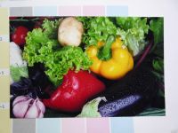 Лот: 16982567. Фото: 7. Печатающий принтер Epson Stylus...