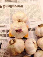Лот: 20357858. Фото: 2. Чеснок Яровой. Деревенский. Продукты