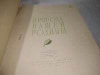 Лот: 25273453. Фото: 4. oz/вбЮ(2092323)Природа нашей Родины... Красноярск