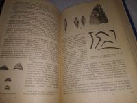 Лот: 13056394. Фото: 16. ок....История древнего мира. В...
