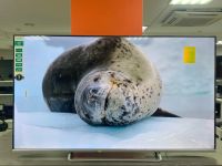 Лот: 20664406. Фото: 4. Dexp 55(140)/Smart Tv/Wi-Fi/4k... Красноярск