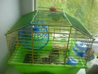 Лот: 2865165. Фото: 2. клетка+хомяк+поилка. Животные и уход