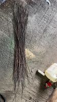 Лот: 25794159. Фото: 4. Медные струны