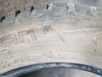 Лот: 14806000. Фото: 6. 205 60 R16 Nokian