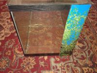 Лот: 9711033. Фото: 3. Аквариум. Растения и животные