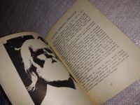 Лот: 13532726. Фото: 4. Якунина А., Духовные учителя человечества...