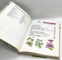 Лот: 25412283. Фото: 10. 📗 А. Плешаков. От земли до неба...