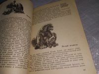 Лот: 18956417. Фото: 10. Oz (4092322) Акимушкин И. И...