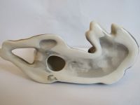 Лот: 17174459. Фото: 9. бернская овчарка зенненхунд собака...