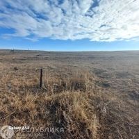 Лот: 25243254. Фото: 2. Продажа Земельный участок Шира... Продажа