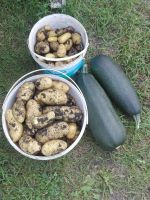 Лот: 16389634. Фото: 2. В лоте все что на фото. Продукты