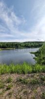 Лот: 25441564. Фото: 14. участок , садоводческое некоммерческое...