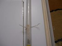 Лот: 3873503. Фото: 3. Продам аквариум 200 л самодельный... Растения и животные