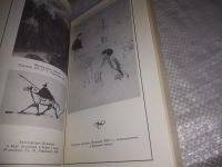 Лот: 21507174. Фото: 5. (1092356)Эйдельман Н. Я. «Быть...