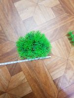 Лот: 15553945. Фото: 2. Площадка небольшая. Аквариумное... Аквариумистика