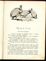 Лот: 11704946. Фото: 5. Чеглок А. Птицы Африки. Десять...