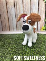 Лот: 14055828. Фото: 3. Терьерчик Макс. Красноярск