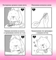 Лот: 3706198. Фото: 3. Антицарапки бледно-розового цвета... Растения и животные