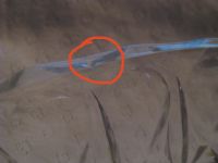 Лот: 17675500. Фото: 6. Небольшой салатник хрусталь СССР...