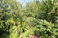 Лот: 25704380. Фото: 14. 2-комн. дача , садоводческое некоммерческое...