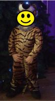 Лот: 12739748. Фото: 3. Новогодний костюм тигренка на... Дети растут