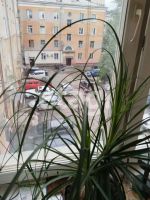 Лот: 25288477. Фото: 2. 3-комн. квартира , Красноярск... Продажа