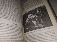 Лот: 12807820. Фото: 5. ок...(4092324) Собаки охотничьи...