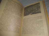 Лот: 25384749. Фото: 6. вб/oz(4092354)Аветисян Г.А. Разведение...