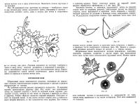 Лот: 7629950. Фото: 3. книга "Учитесь вышивать". Красноярск