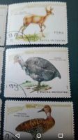 Лот: 19995163. Фото: 3. Куба 1970 год. Дичь. Фауна. Птицы... Красноярск