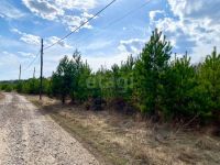 Лот: 25334839. Фото: 12. участок , СНТ Гринбург Кедровая...