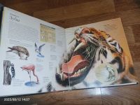 Лот: 25651771. Фото: 3. Новейшая детская энциклопедия... Литература, книги