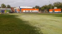 Лот: 11047933. Фото: 8. Газон на любом участке - Гидропосев