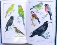 Лот: 18050680. Фото: 3. М.М. Марковская "Уголок природы... Литература, книги