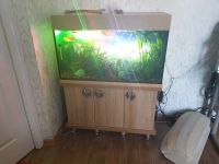 Лот: 13887366. Фото: 2. Аквариум 180 литров. Аквариумистика