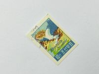 Лот: 24692996. Фото: 2. Программа орошения земель. Без... Коллекционирование, моделизм