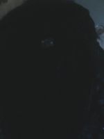 Лот: 8648117. Фото: 3. пуховик чёрный кожаный. Одежда, обувь, галантерея