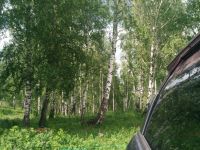 Лот: 7560346. Фото: 2. Участок 10 соток ДНТ Теремок Кузнецовка... Продажа