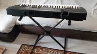 Лот: 25349958. Фото: 2. синтезатор casio ctk-710. Музыкальные инструменты