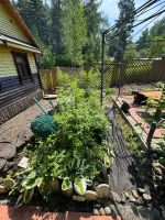 Лот: 25551573. Фото: 13. 1-комн. дача , садоводческое некоммерческое...