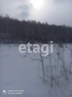 Лот: 25285791. Фото: 11. 2-комн. дача , Красноярск Красноярск...