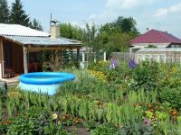 Лот: 9476886. Фото: 3. Продаём участок с домом! Торг... Недвижимость
