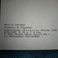 Лот: 24670980. Фото: 2. Открытка ,,Пздравляю !,, Роза... Открытки, билеты и др.