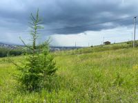 Лот: 25295888. Фото: 4. участок , СНТ Восточное СНТ Восточное... Красноярск