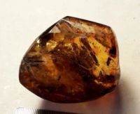 Лот: 25338979. Фото: 3. Янтарь с мелким комариком. Красноярск