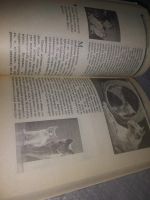 Лот: 18663084. Фото: 11. ок...Непомнящий, Н. 100 кошачьих...