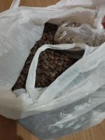 Лот: 25772375. Фото: 2. Кедровые орехи. Продукты