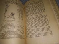 Лот: 18484863. Фото: 10. Генкель П.А., Кудряшов Л.В. Ботаника...
