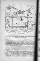 Лот: 12427174. Фото: 6. Сибирь в древности. Ред. И.В...